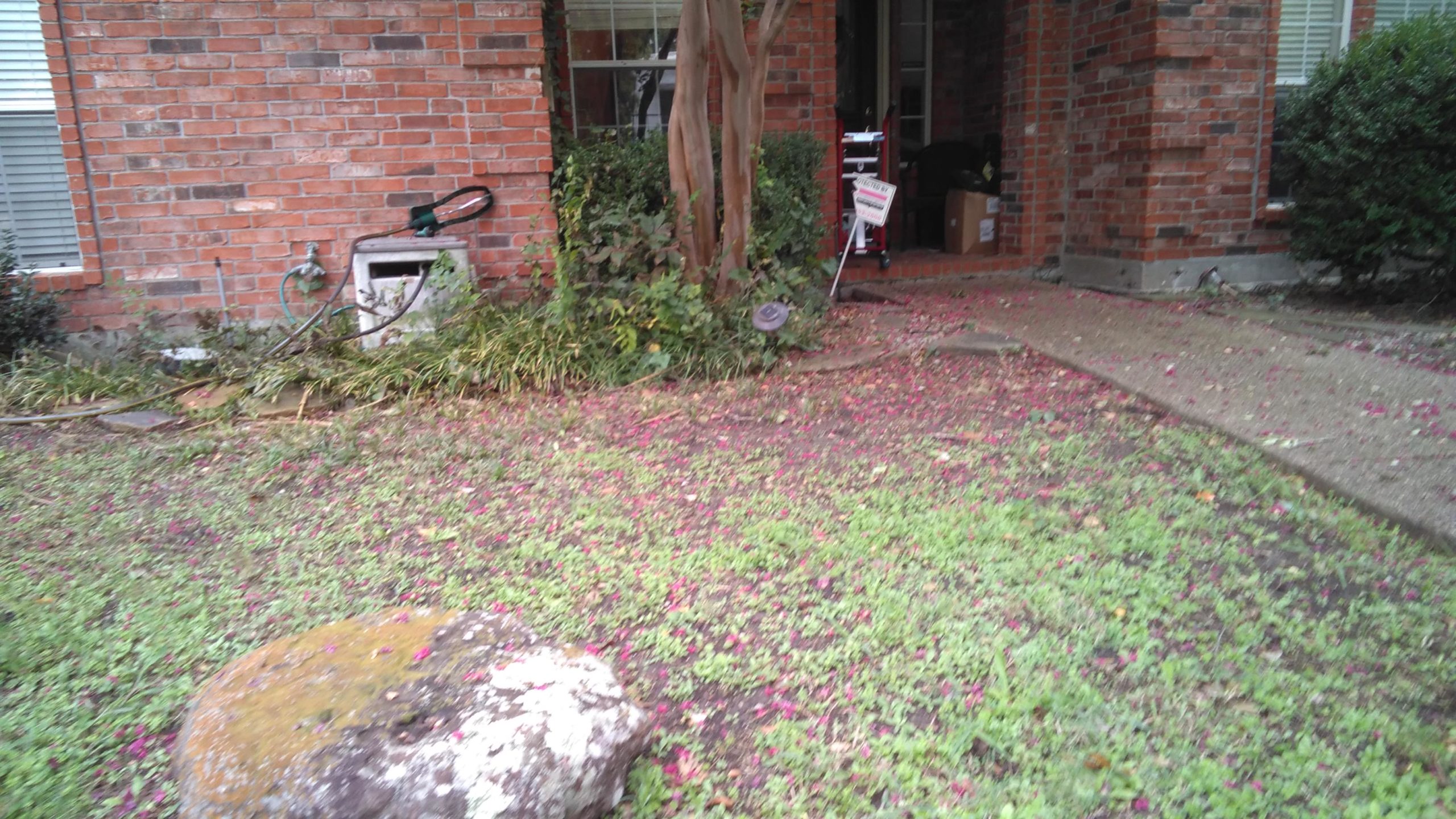 Fix My Lawn Landscape Rehab Dallas Plano Frisco Allen Prosper Mckinney