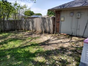 Why is my Lawn Turning Brown and Grass Dying in North Texas