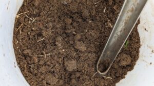 Soil Testing Colleyville