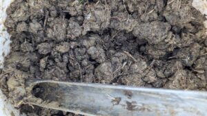 Soil Testing Carrollton