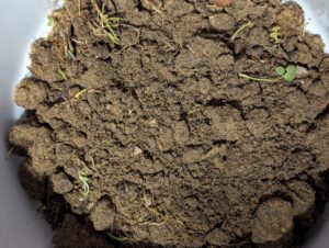 Soil Testing North Ft Worth