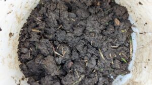 Soil Testing North Dallas