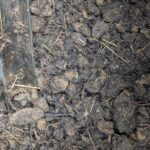 Soil Test Sample Flowermound, TX -Denton County Texas - Copyright DFW Turfgrass Science -2024