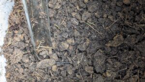 Soil Testing Flower Mound