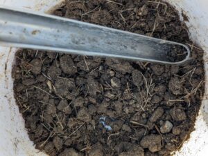 Soil Testing West Frisco