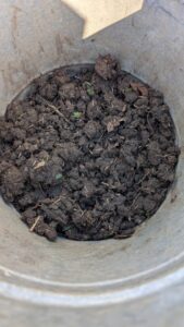 Soil Testing Frisco TX