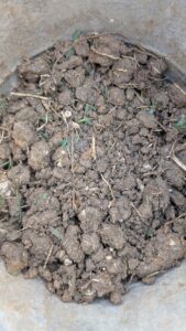 Soil Testing in Carrollton, TX -Dallas County - April 2026