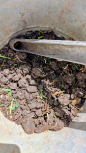Soil Testing in Dallas, TX - North Dallas County - April 2026